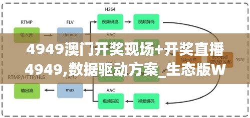 4949澳門開獎(jiǎng)現(xiàn)場(chǎng)+開獎(jiǎng)直播4949,數(shù)據(jù)驅(qū)動(dòng)方案_生態(tài)版WWQ4.34