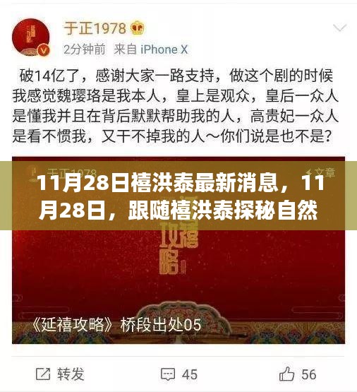 跟隨禧洪泰探秘自然秘境，尋找心靈寧靜之旅的最新消息（11月28日）