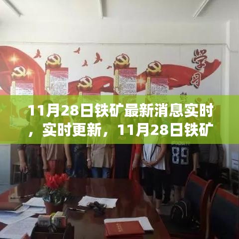 11月28日鐵礦實時消息更新，最新動態(tài)與資訊