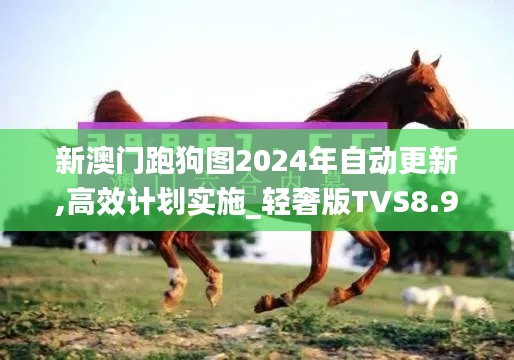張燈掛彩 第5頁