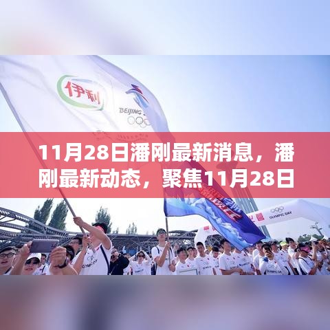 潘剛最新動態及影響力聚焦，11月28日的新聞焦點