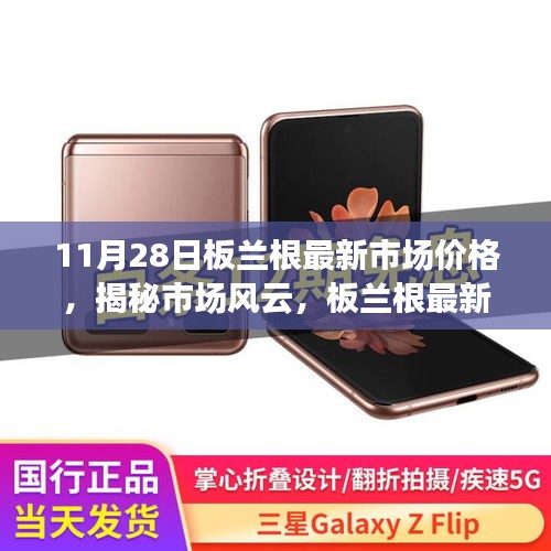 揭秘板蘭根最新市場價(jià)格動態(tài)解析（最新報(bào)告，11月28日版）