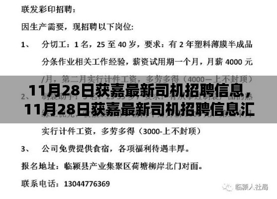 11月28日獲嘉司機招聘信息大全，掌握未來職業機遇的鑰匙