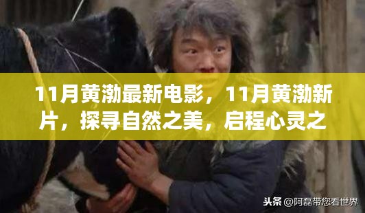 百鳥歸巢 第5頁