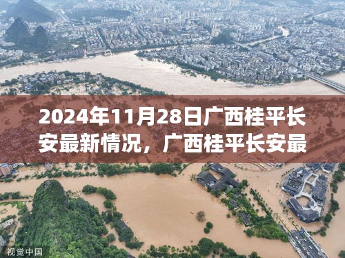 廣西桂平長安最新動態，任務指南與一覽（2024年11月28日）