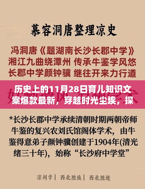 歷史上的11月28日育兒知識背后的故事，探尋育兒寶藏，揭秘爆款文案背后的故事。