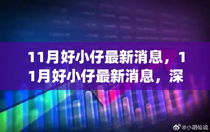 深度解讀與觀點闡述，11月好小仔最新消息