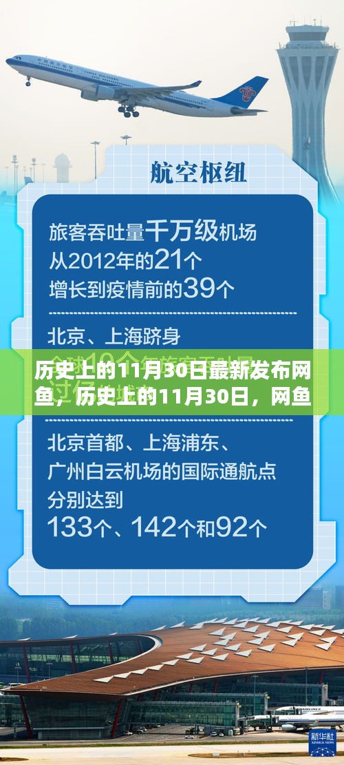 網魚新篇章，歷史上的11月30日揭秘與最新動態發布