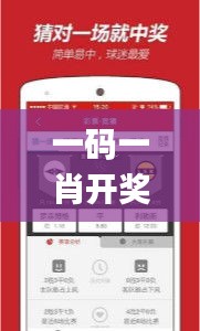 一碼一肖開獎結(jié)果,實(shí)踐調(diào)查說明_VR版VCI73.438
