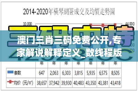 澳門三肖三碼免費公開,專家解說解釋定義_數(shù)線程版BYU73.881