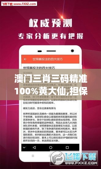 澳門三肖三碼精準(zhǔn)100%黃大仙,擔(dān)保計(jì)劃執(zhí)行法策略_復(fù)古版UWJ30.924