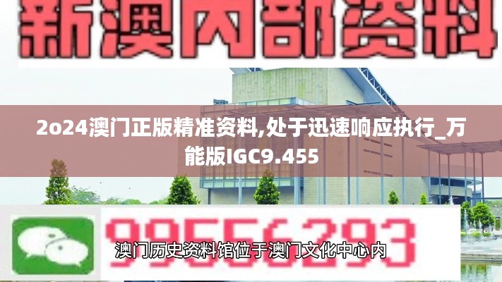 2o24澳門正版精準資料,處于迅速響應執行_萬能版IGC9.455