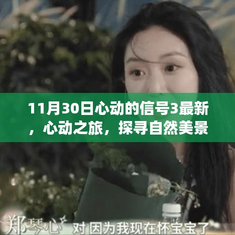 心動(dòng)之旅，探尋自然美景的奇妙旅程（心動(dòng)的信號(hào)3最新報(bào)道）