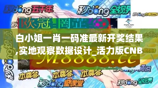 白小姐一肖一碼準最新開獎結(jié)果,實地觀察數(shù)據(jù)設(shè)計_活力版CNB55.104