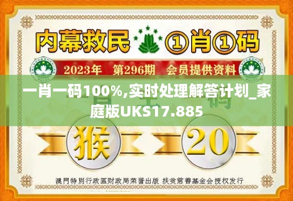 一肖一碼100%,實(shí)時(shí)處理解答計(jì)劃_家庭版UKS17.885