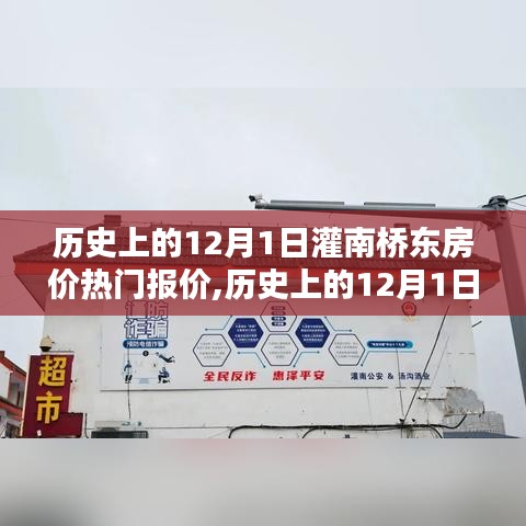 歷史上的12月1日灌南橋東房價熱門報價，深度分析與觀點(diǎn)闡述
