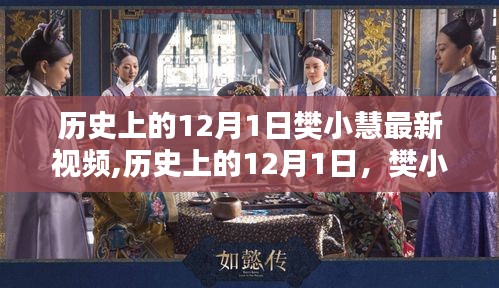 樊小慧12月1日最新視頻揭秘，歷史時刻的新內容展望