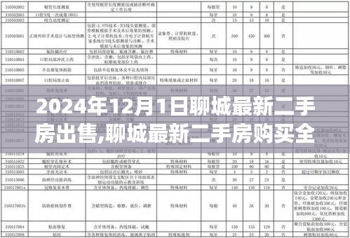 初學者全攻略，聊城最新二手房購買指南，從入門到成交的詳細步驟（2024年）