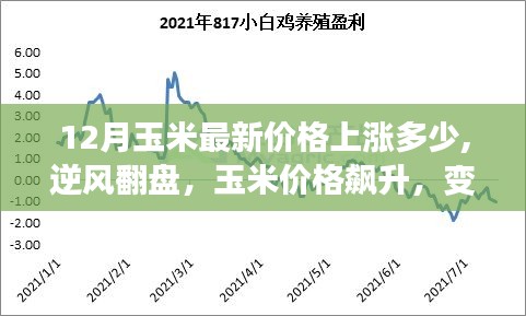 荊釵布裙 第6頁