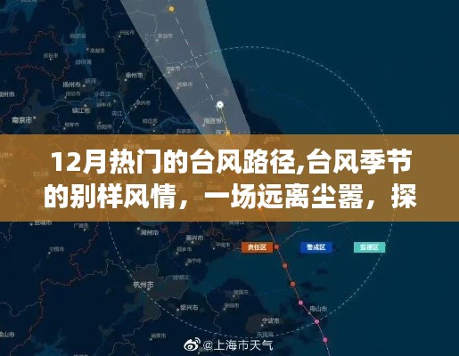 臺風(fēng)季節(jié)的奇妙之旅，探尋內(nèi)心平靜與別樣風(fēng)情之旅