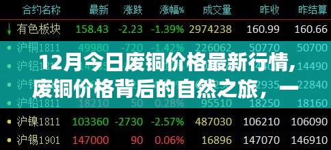 十二月廢銅價格最新動態，探尋背后的自然之旅與內心平靜之旅