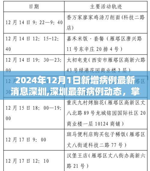2024年深圳最新病例動(dòng)態(tài)及應(yīng)對(duì)策略，掌握新增病例查詢方法與應(yīng)對(duì)技巧
