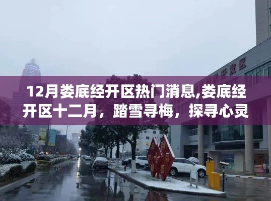 婁底經(jīng)開區(qū)十二月踏雪尋梅，探尋心靈之旅熱門消息