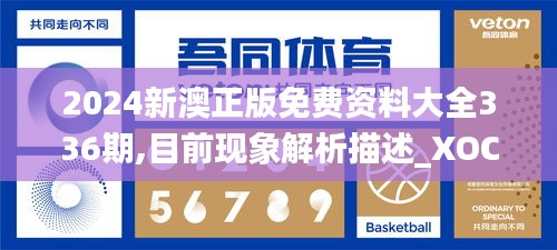 2024新澳正版免費(fèi)資料大全336期,目前現(xiàn)象解析描述_XOC21.292多功能版