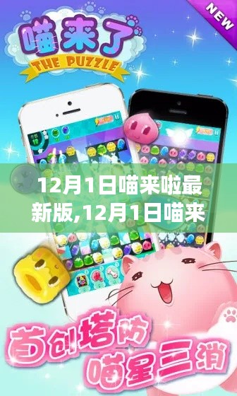 12月1日喵來啦全新版本發布，特色功能與體驗一網打盡