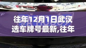 武漢選車牌號最新動態解讀，選號策略與趨勢分析（往年12月1日更新）