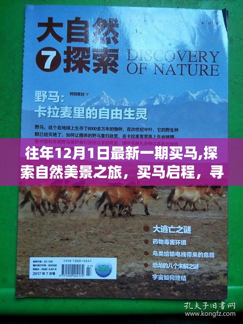 買馬啟程，探索自然美景之旅，尋找內心的寧靜與平和