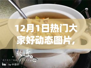 揭秘十二月一日熱門動態(tài)圖片，小巷深處的動感樂園背后的故事