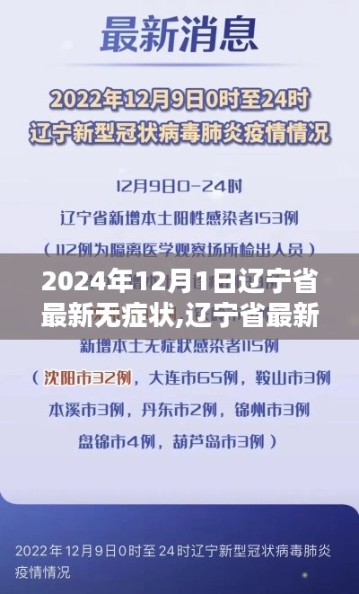 遼寧省最新動態(tài)深度解析，聚焦2024年12月1日無癥狀情況報告