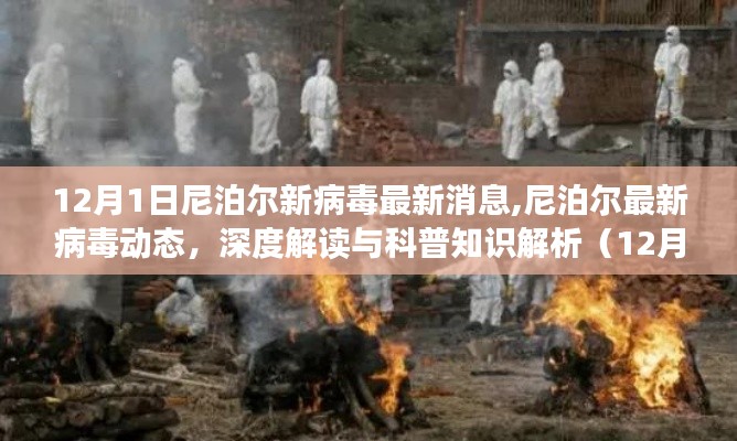 深度解讀與科普知識解析，尼泊爾最新病毒動(dòng)態(tài)（12月1日更新）