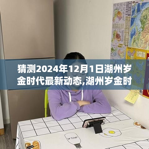 湖州歲金時代最新動態解析，特性、用戶體驗與目標用戶群體分析展望至2024年12月1日深度評測報告