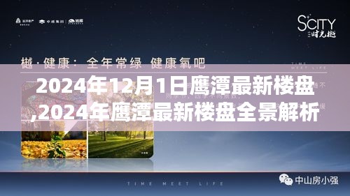 2024年鷹潭最新樓盤(pán)全景解析，深度探索鷹潭樓市