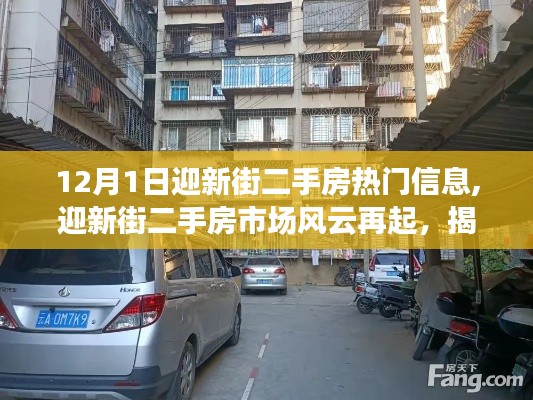 揭秘迎新街二手房市場風(fēng)云再起，十二月一日熱門信息深度解析