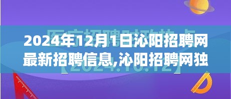 沁陽(yáng)招聘網(wǎng)獨(dú)家爆料，2024年最新招聘信息全解析，理想工作等你來(lái)尋！