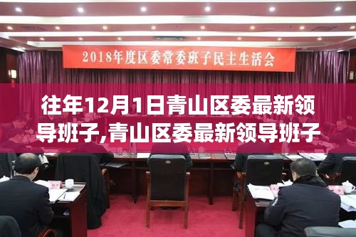 青山區(qū)委最新領(lǐng)導(dǎo)班子介紹及查詢步驟指南（初學(xué)者與進(jìn)階用戶適用）