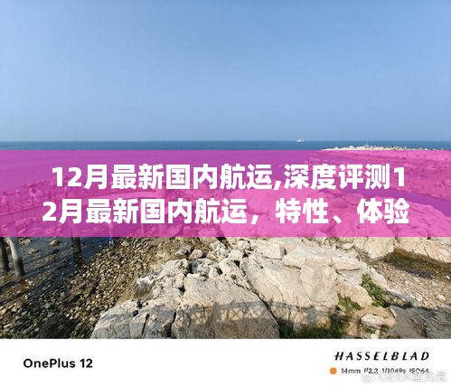 深度解析，12月國內航運全新動態(tài)，特性體驗、競品對比與用戶洞察