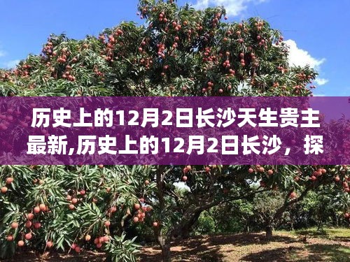 探尋長(zhǎng)沙天生貴主的深層意義與現(xiàn)代影響，歷史上的12月2日長(zhǎng)沙最新探尋紀(jì)實(shí)
