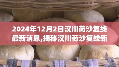 揭秘漢川荷沙復線新動態(tài)，美食寶藏藏于小巷特色小店中的新發(fā)現(xiàn)（最新消息）