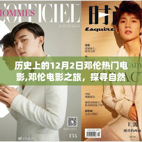 鄧倫電影之旅，探尋自然美景與內(nèi)心平靜的藝術(shù)之旅（12月2日熱門電影回顧）