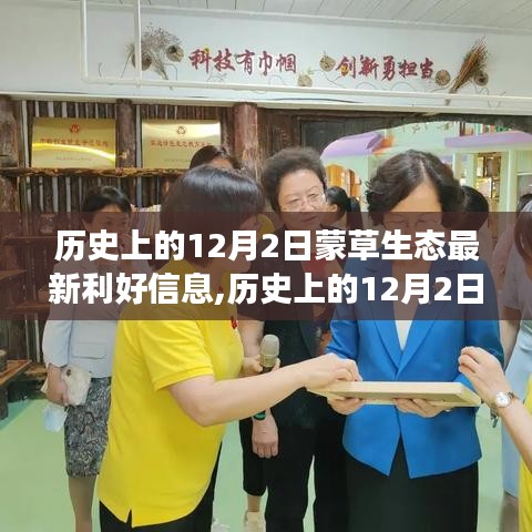 蒙草生態利好信息閃耀登場，歷史上的十二月二日利好信息回顧