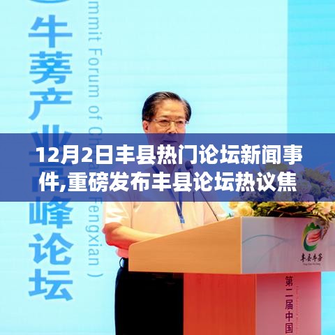飛箭如蝗 第4頁