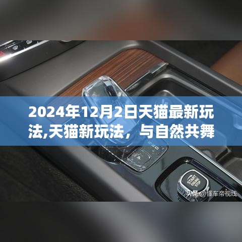 天貓新玩法探索，與自然共舞的日子，開啟內心平靜的奇妙之旅（2024年天貓最新玩法介紹）