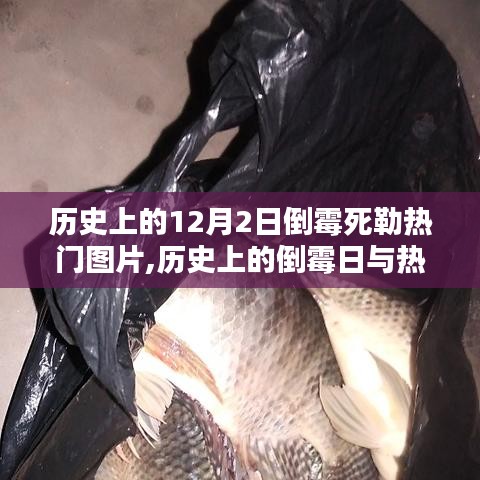 歷史上的倒霉日與倒霉死勒熱門圖片，深度解析一款獨(dú)特產(chǎn)品的特性與體驗(yàn)