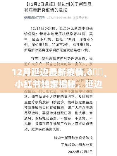 小紅書獨(dú)家揭秘，延邊地區(qū)12月最新疫情動(dòng)態(tài)與防控進(jìn)展