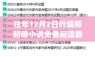 往年12月2日葉城柳昭晴小說免費閱讀，最新章節與精彩內容一網打盡