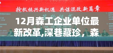 森工企業單位改革下的獨特小店探秘，深巷藏珍的新機遇